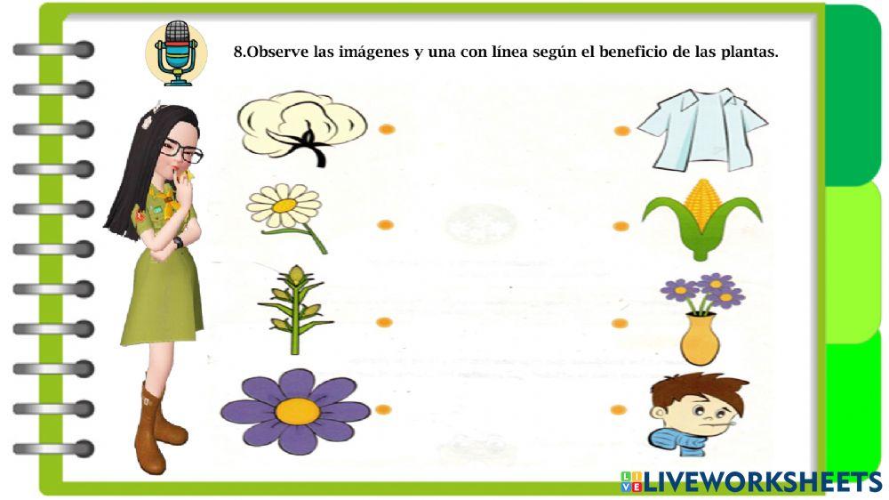 Taller de Retroalimentación