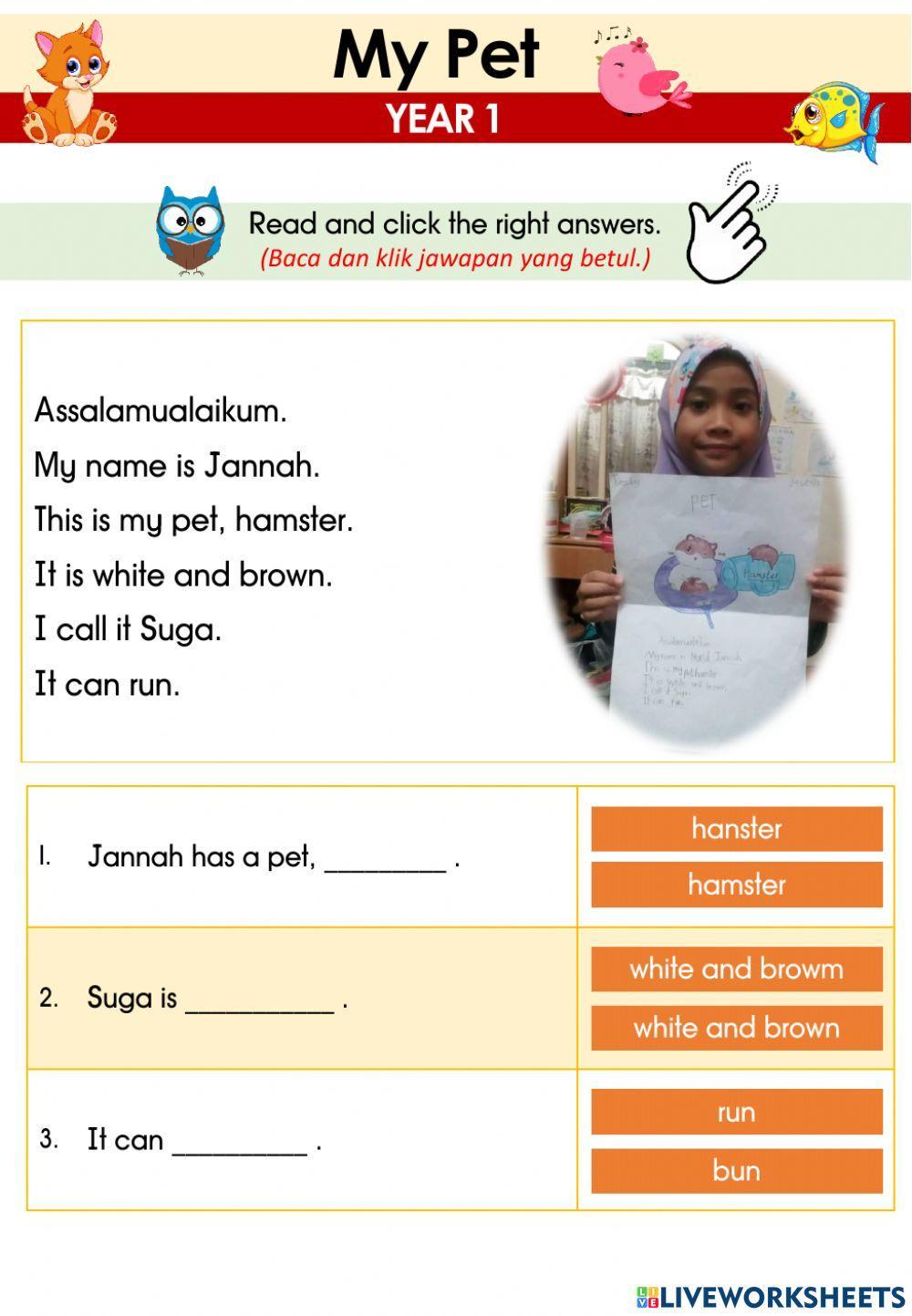 CEFR YEAR 1-  My Pet (Reading and Click)