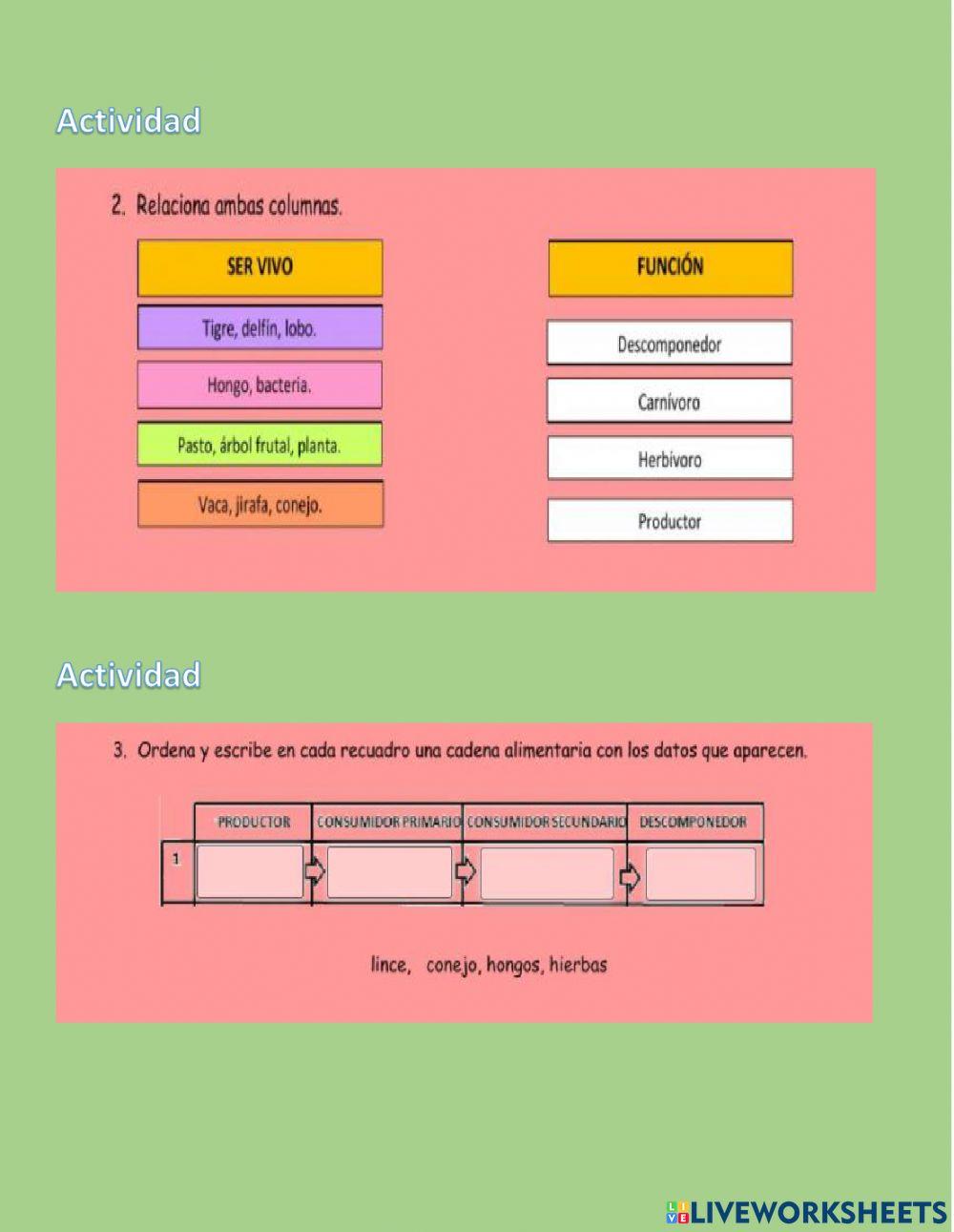 Cadenas y redes alimentarias
