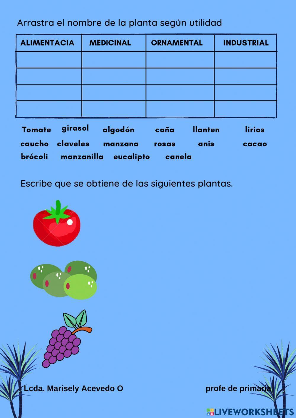 Utilidad de las plantas