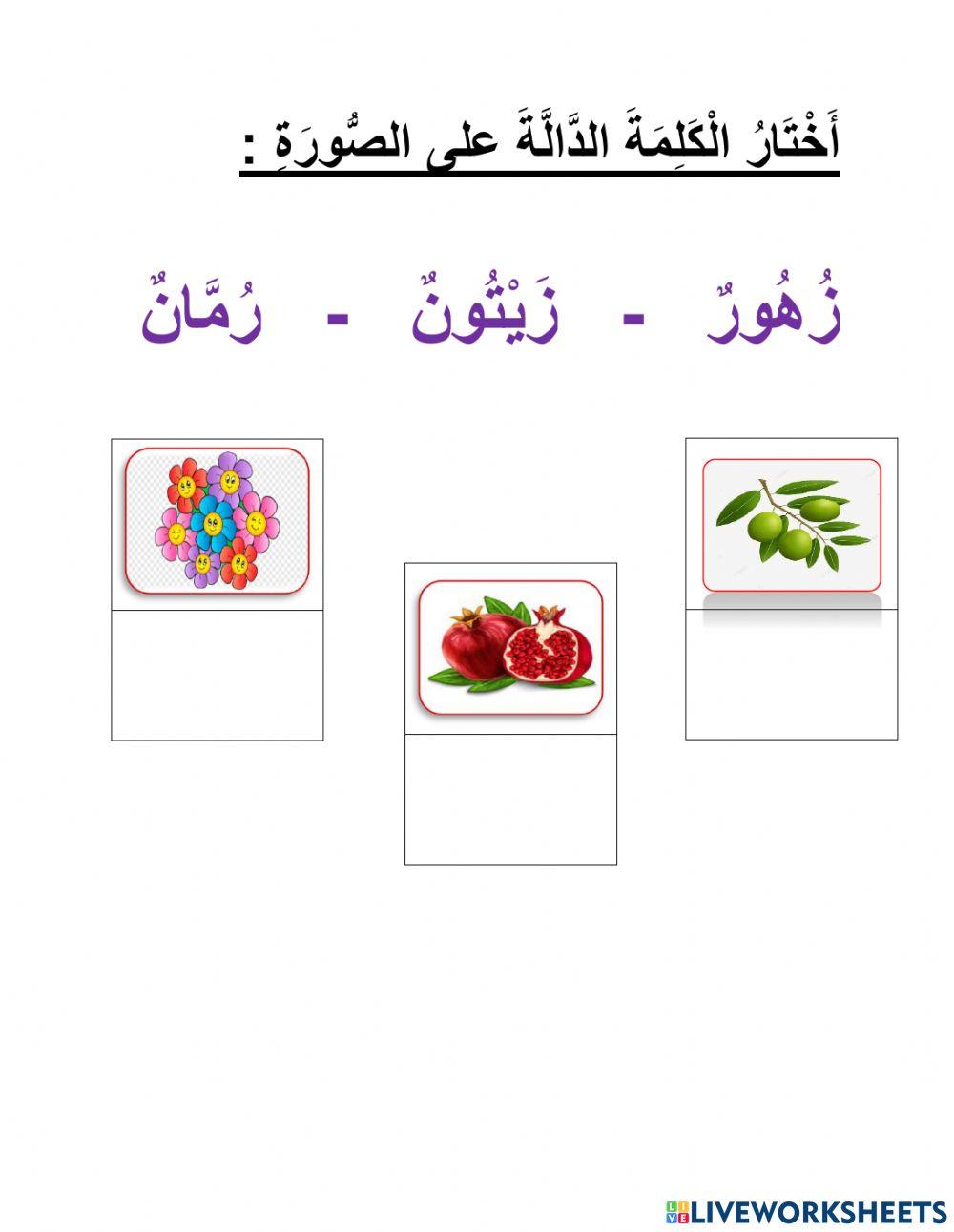 التَّمييز بين ر - ز