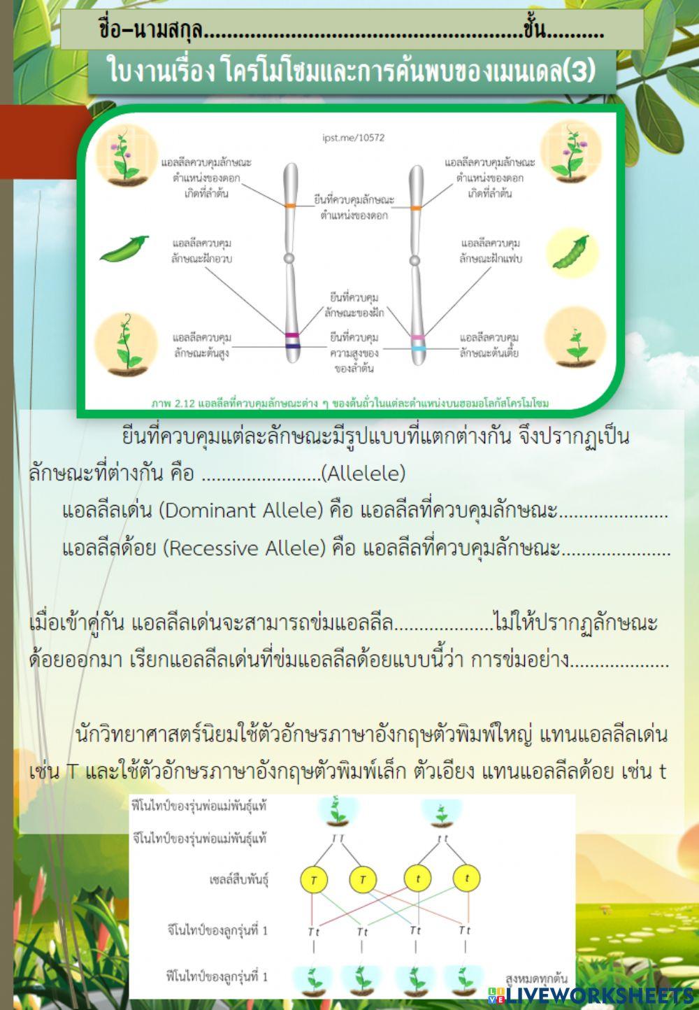 พันธุศาสตร์3