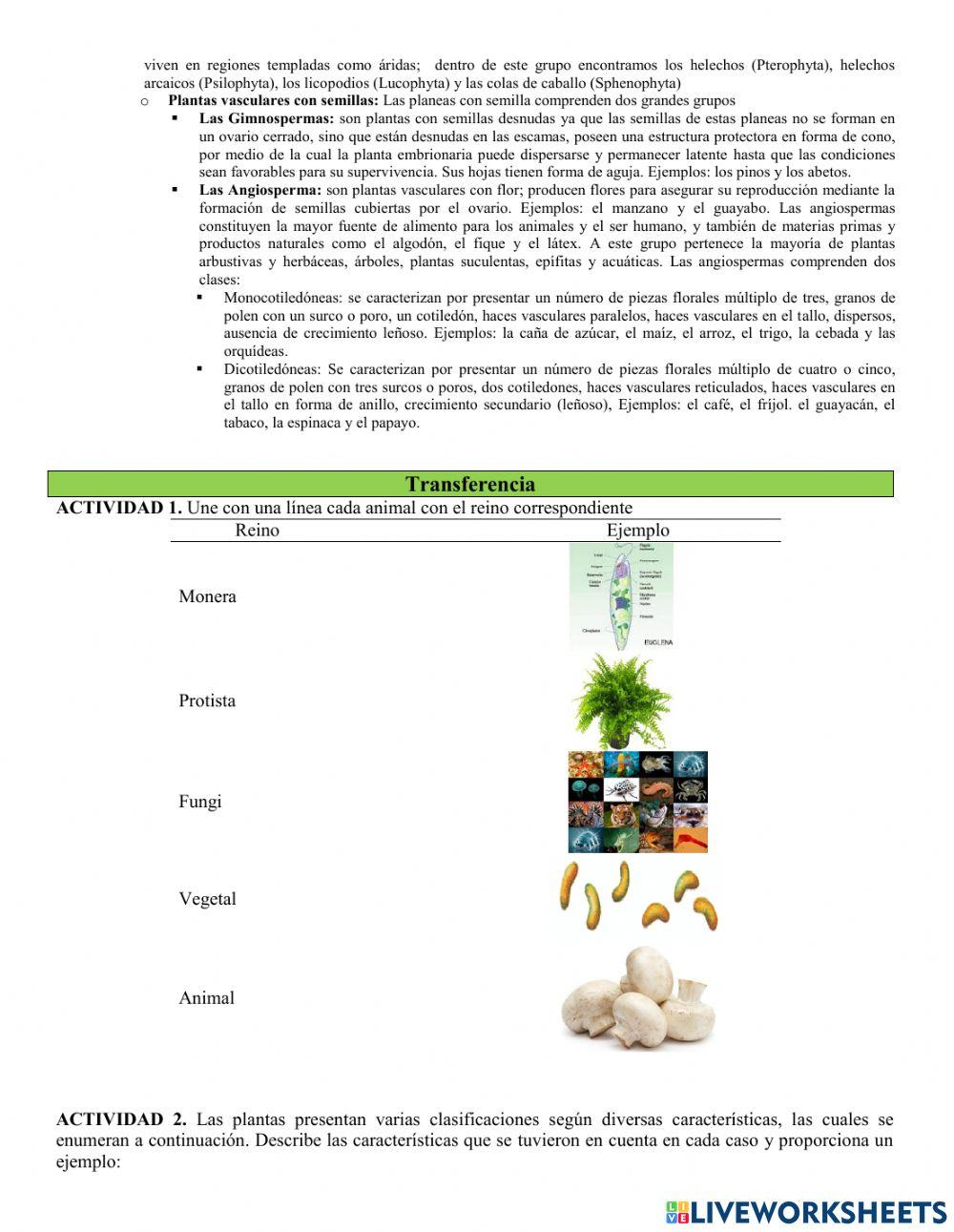 Clasificación actual de los organismos