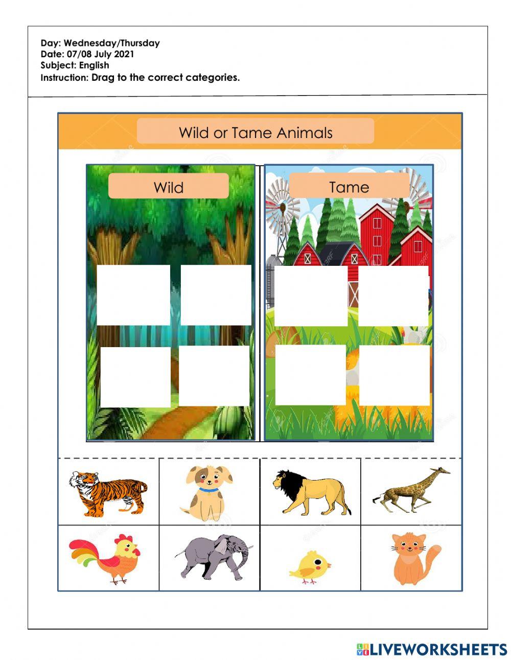 Tugasan pkp 3.0 BI (4tahun)