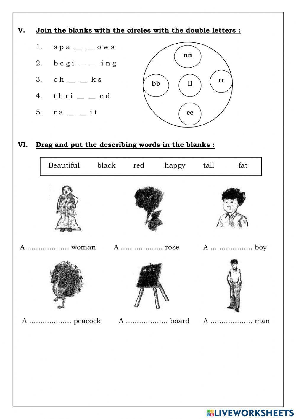 ACHIEVEMENT TEST-NINA AND THE BABY SPARROWS-CLASS-III-ENGLISH