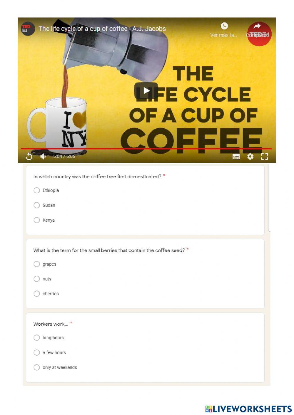 The life cycle of a cup of coffee