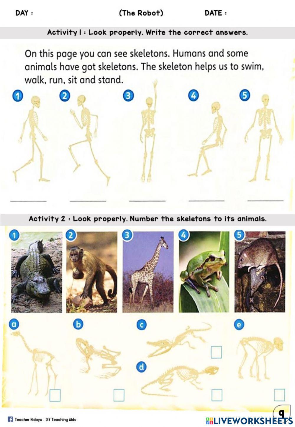 The Robot (Skeleton : Write and Number)
