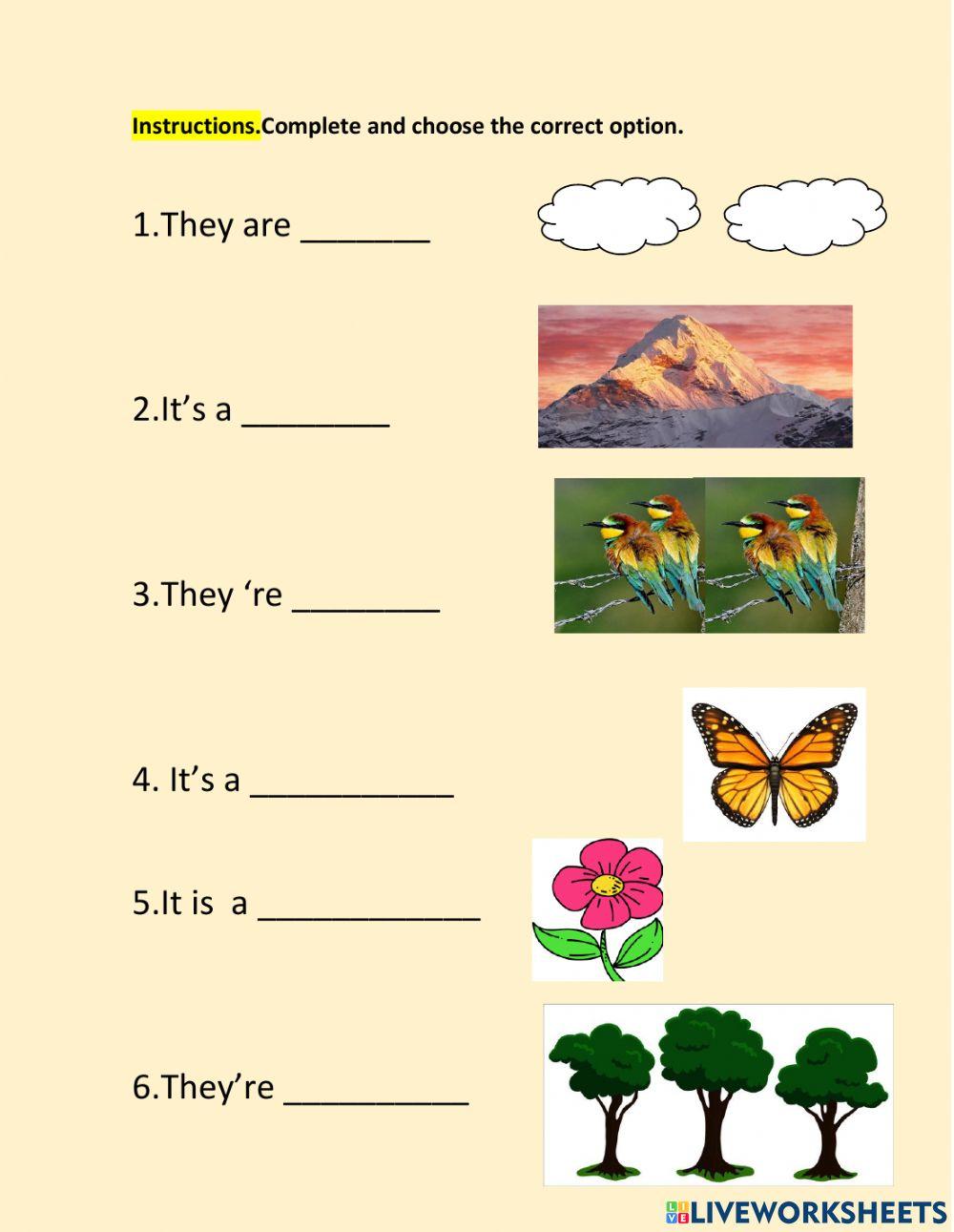 Nature and classroom