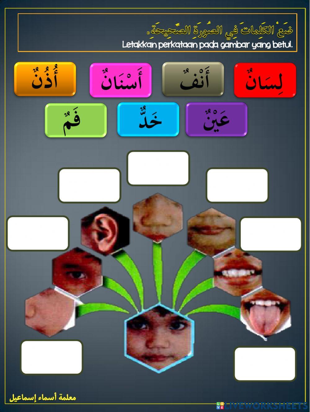 جسمي السليم