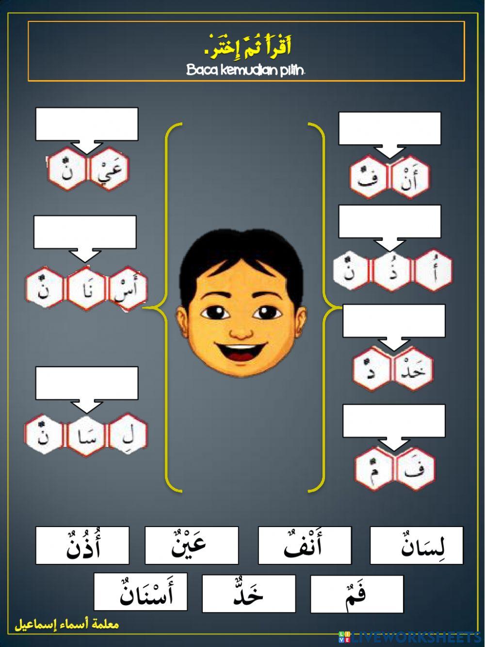 جسمي السليم