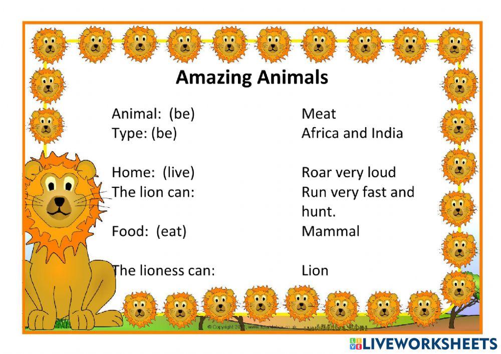 Amazing animals: the lion