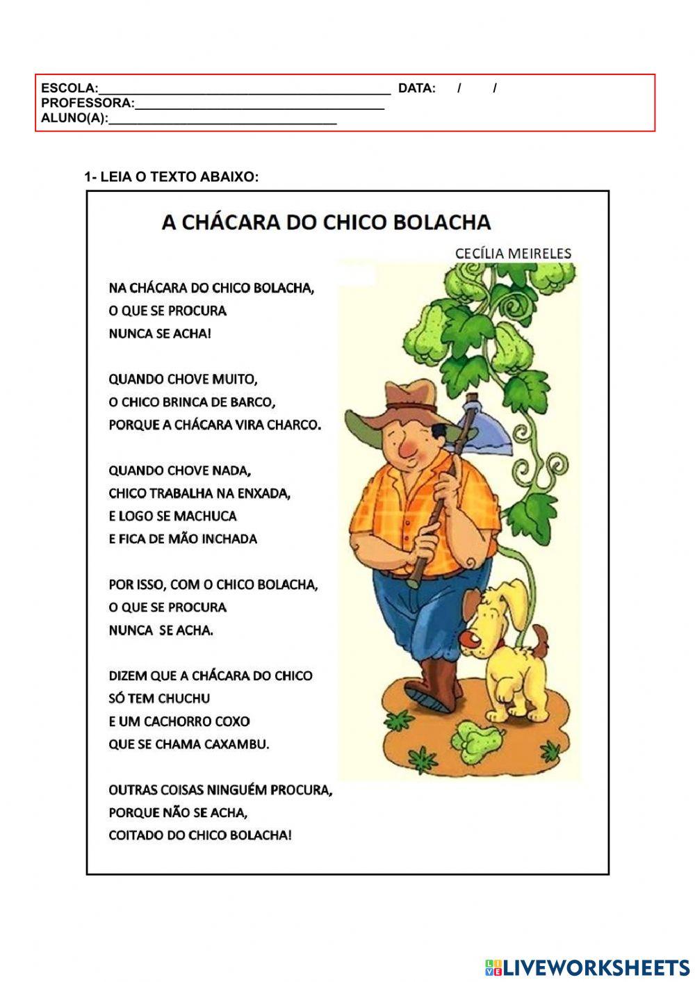 Chico bolacha
