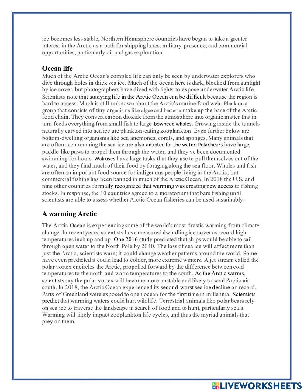 Intermediate Worksheet