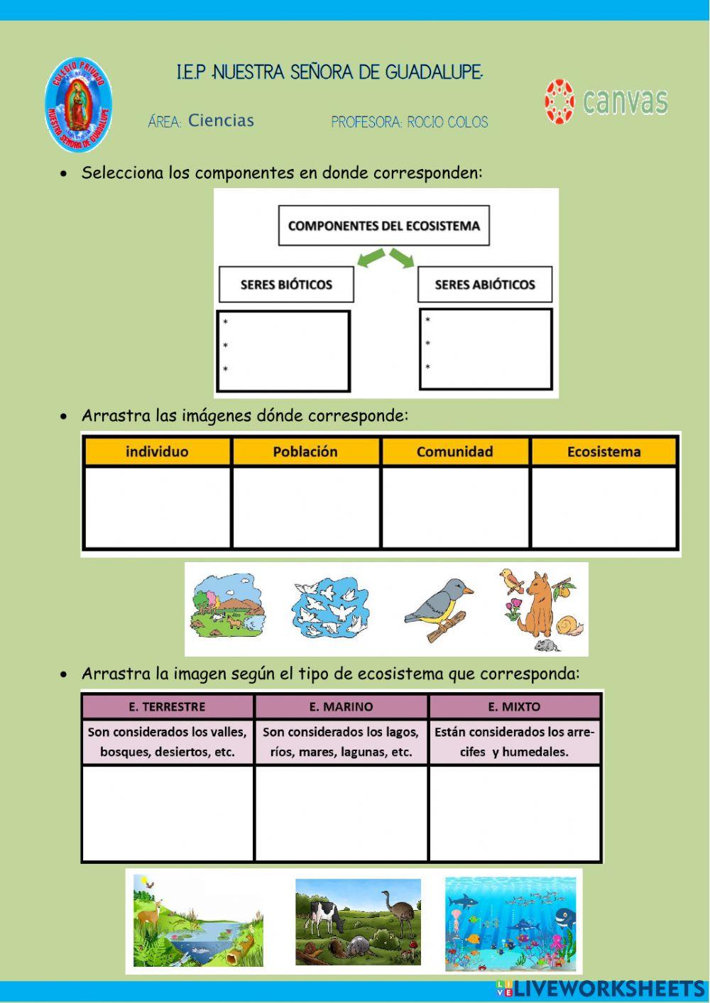 Explorando los Ecosistemas