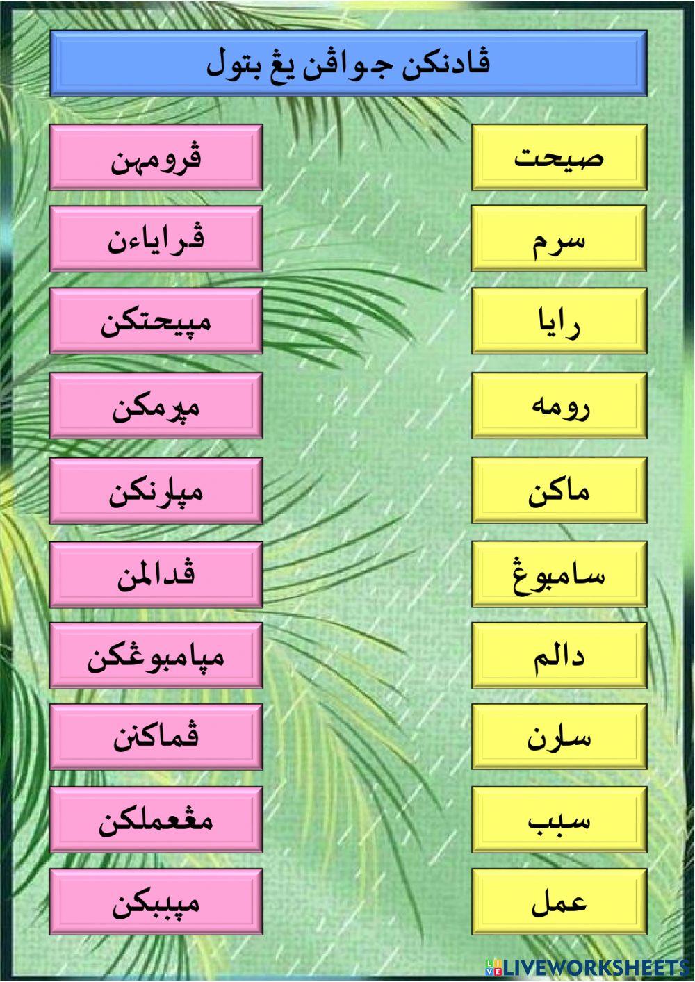 Imbuhan awal dan akhir