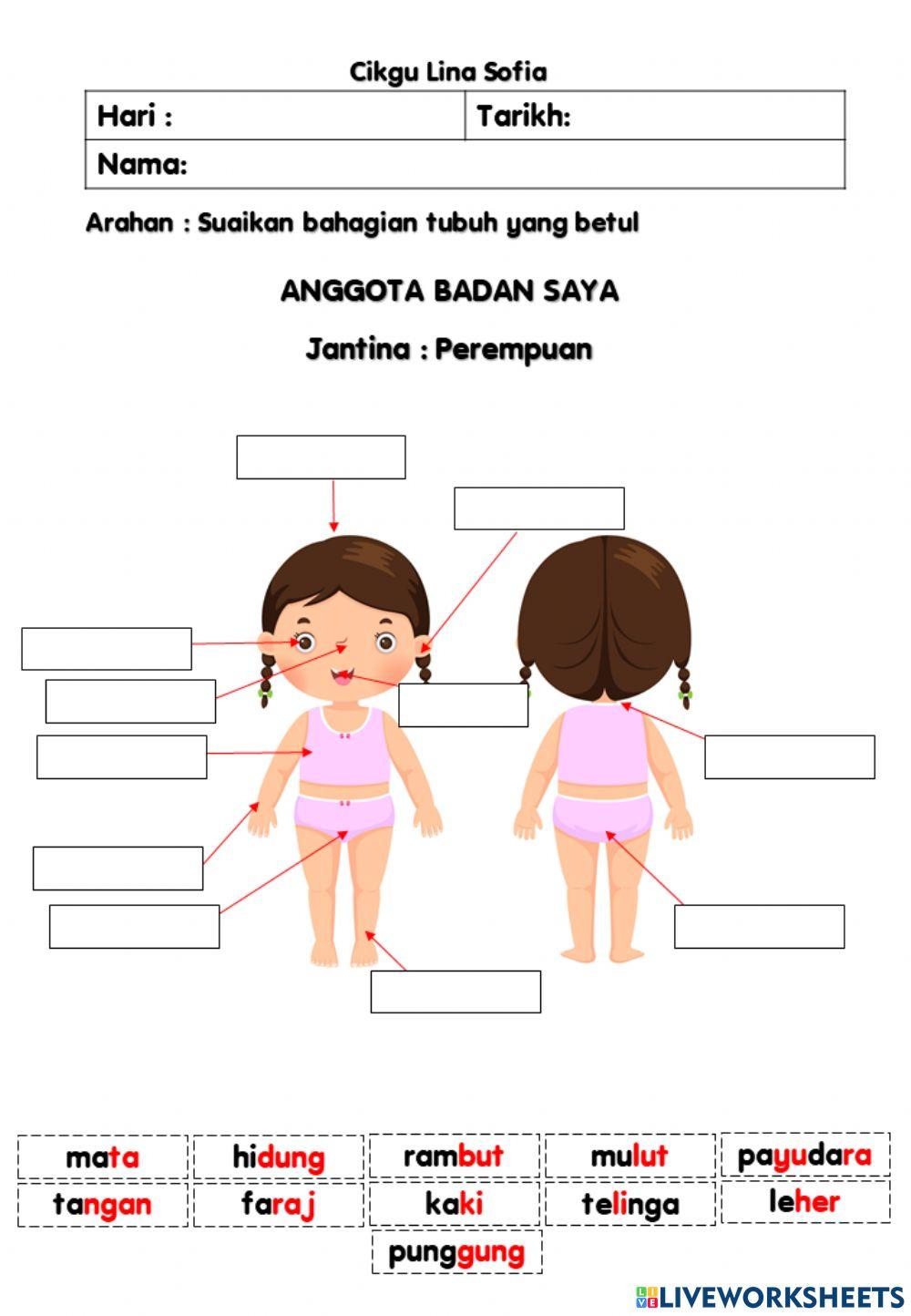 Anggota badan saya (Perempuan)