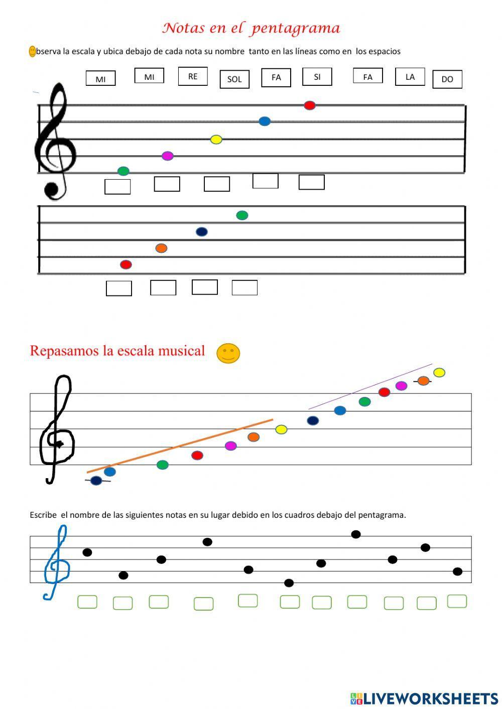 El pentagrama y las notas musicales