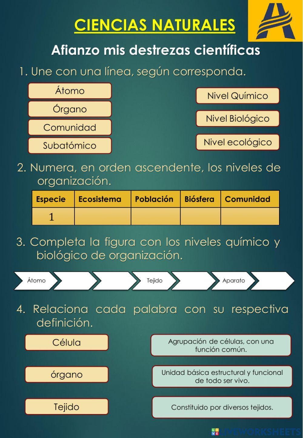 Nivel Organización de los seres vivos