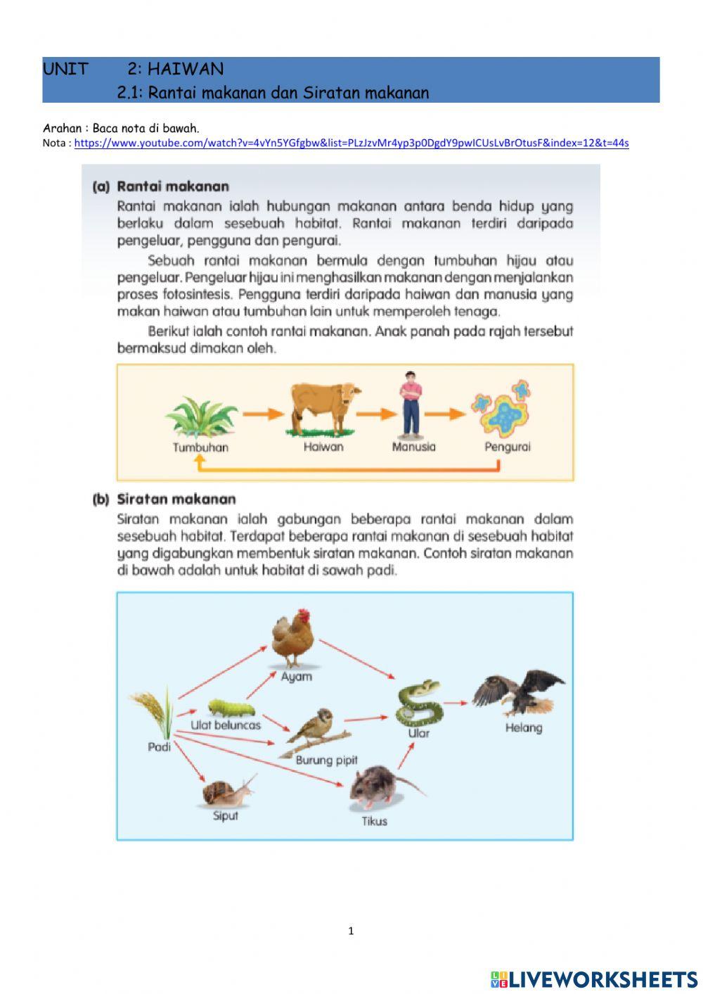 Rantai makanan dan siratan makanan