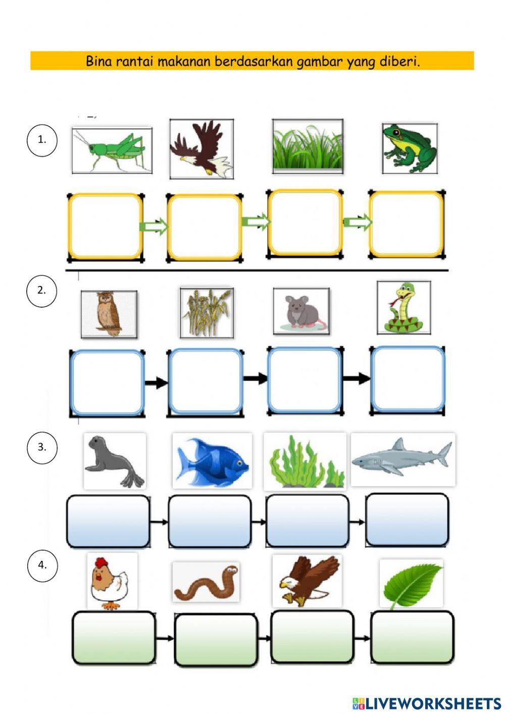 Rantai makanan dan siratan makanan