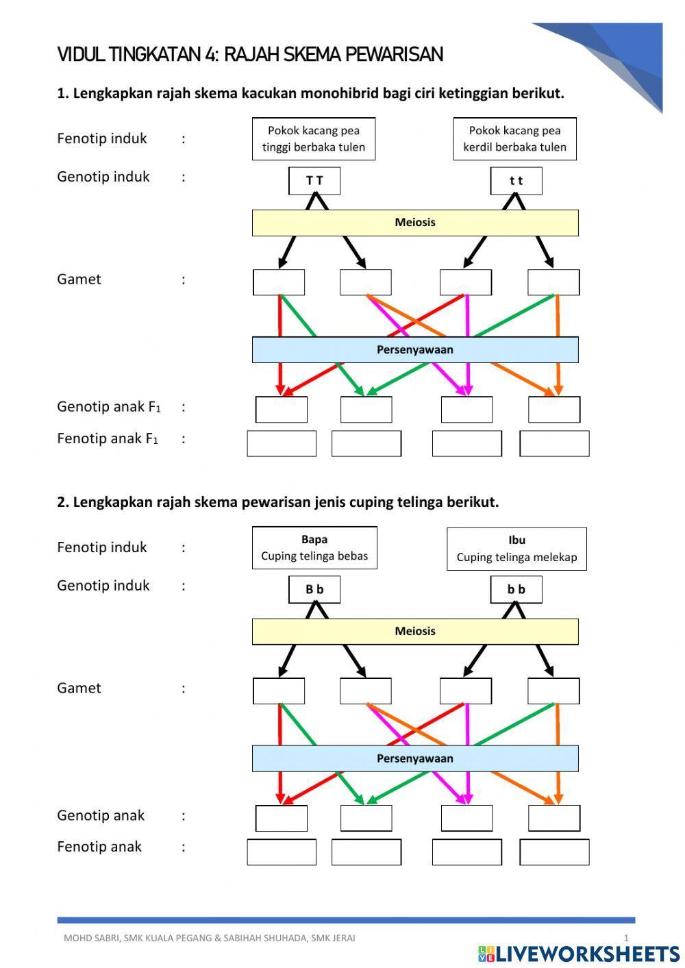 Rajah Skema Mekanisme Pewarisan