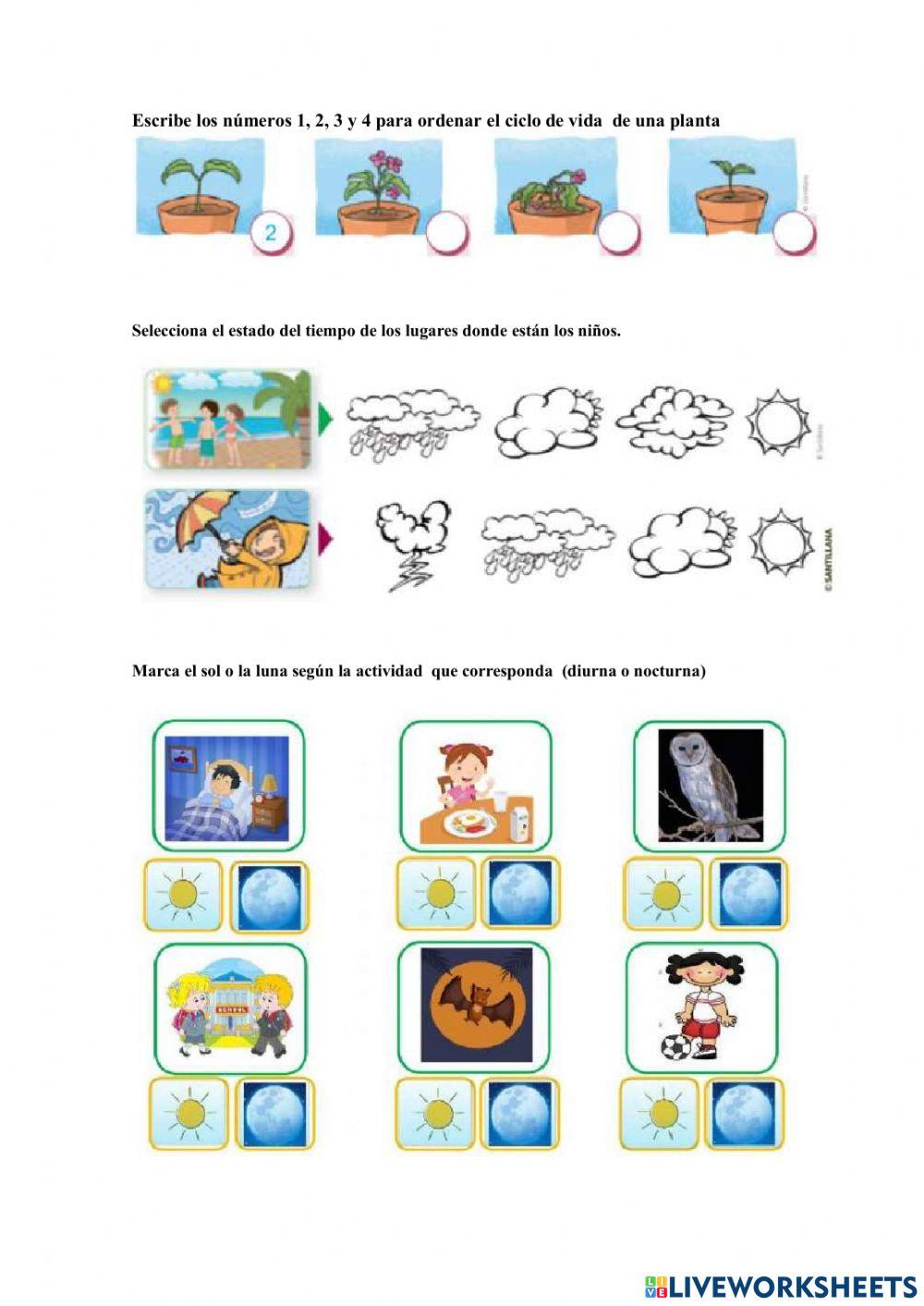 Retroalimentación CCNN
