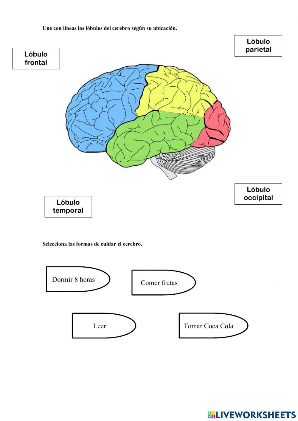 Taller repaso 2 ccnn