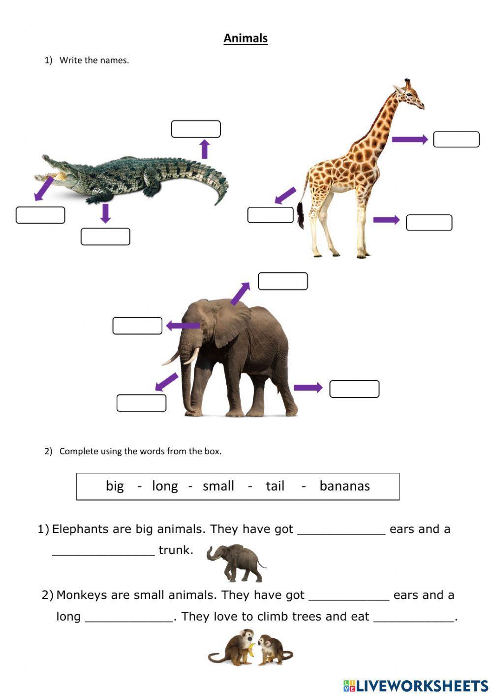 Animal body parts description