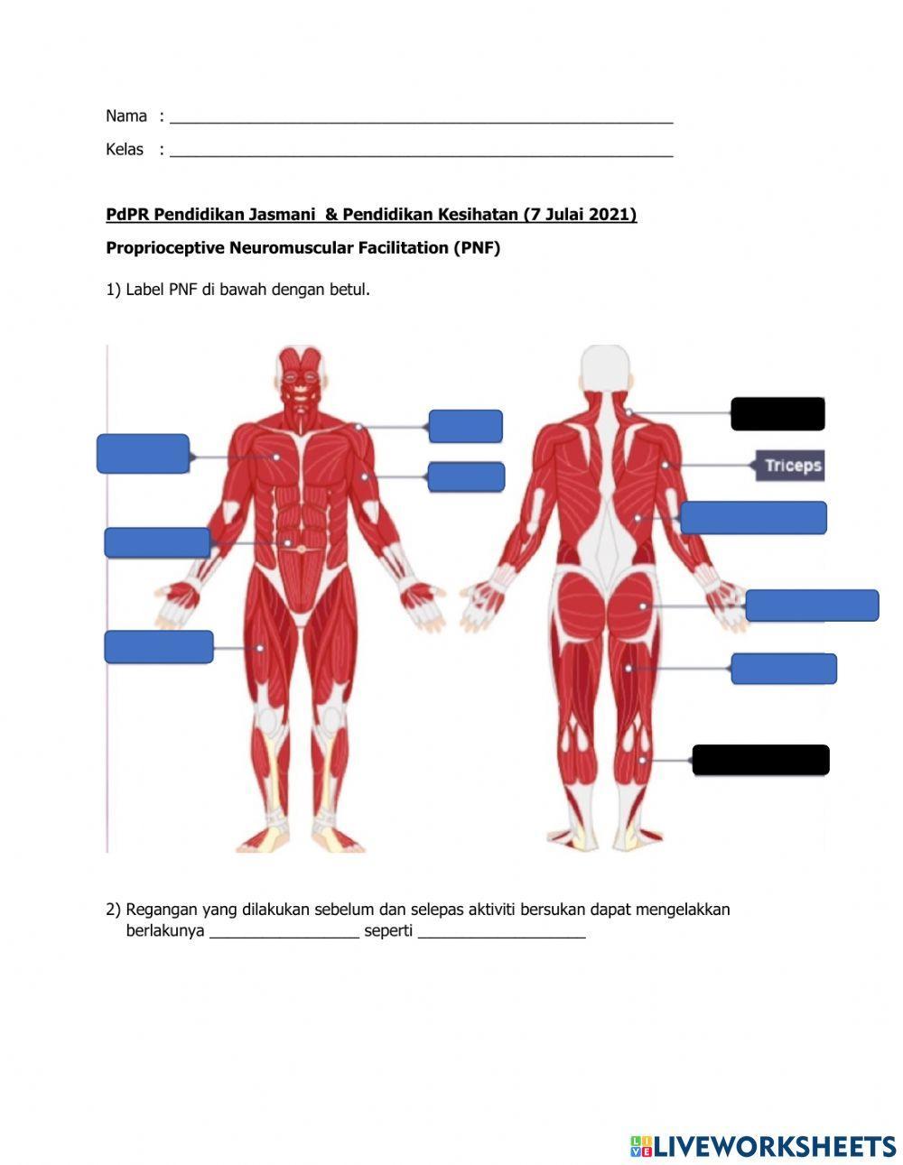 Unit 8 - Kecergasan (PJPK T2)