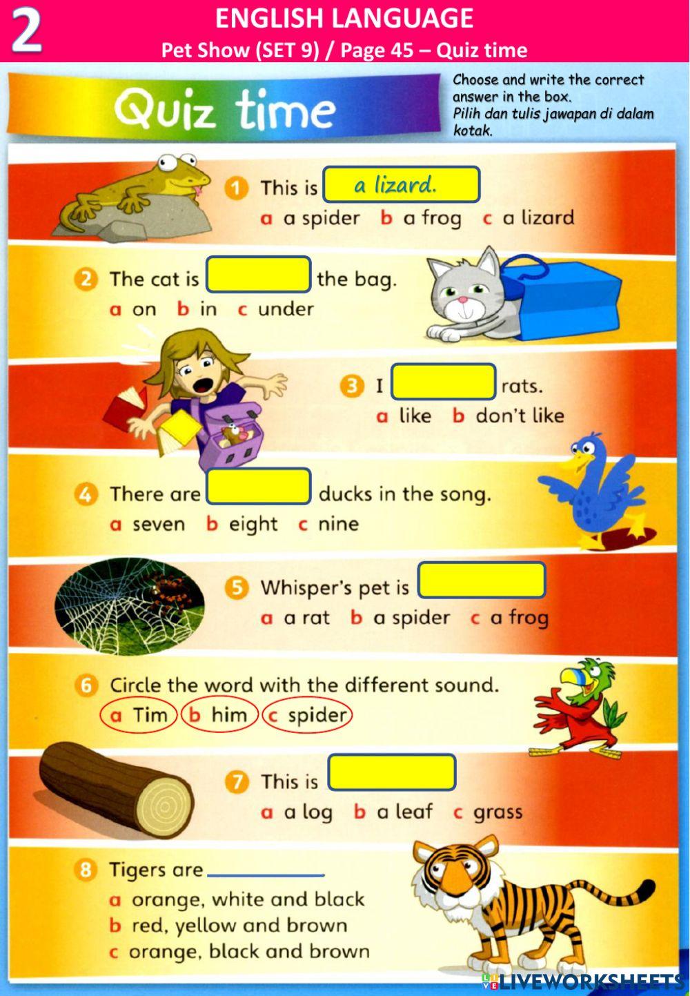 Pet show (9) - listening and topic revision