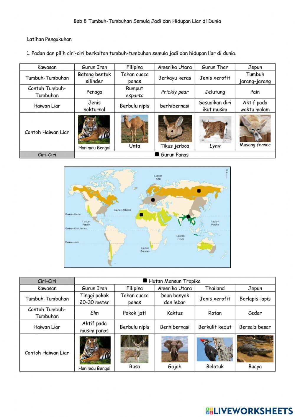 B8T3 Tumbuh-Tumbuhan Semula Jadi dan Hidupan Liar di Dunia a