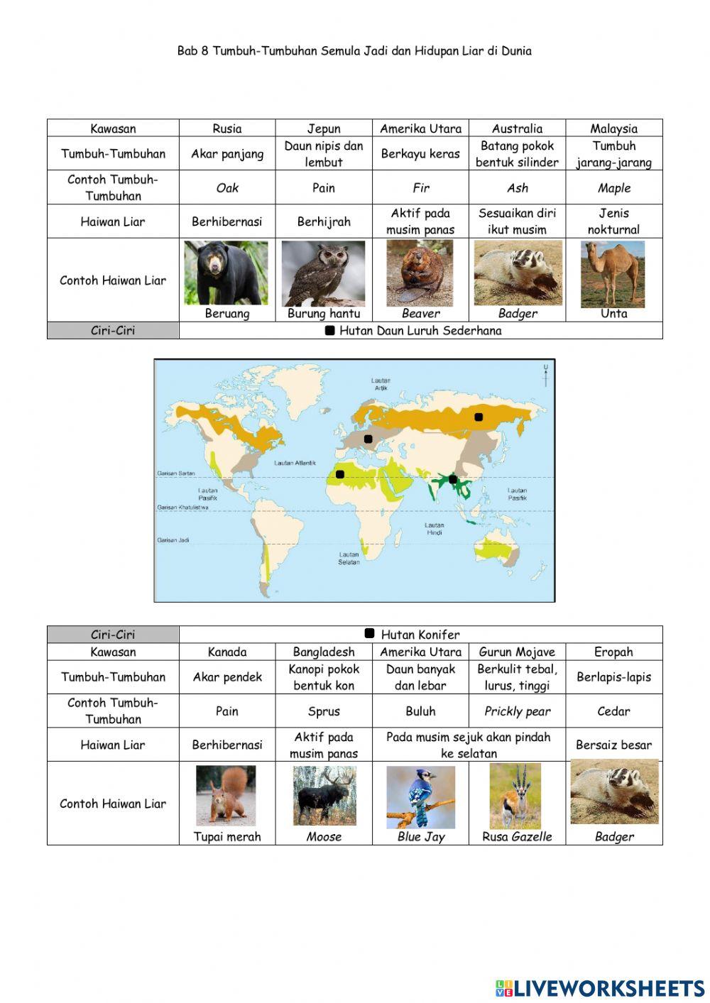 B8T3 Tumbuh-Tumbuhan Semula Jadi dan Hidupan Liar di Dunia a