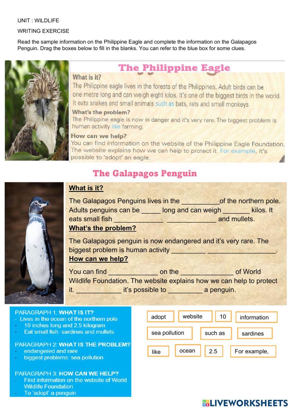 Wild Life : Write Information