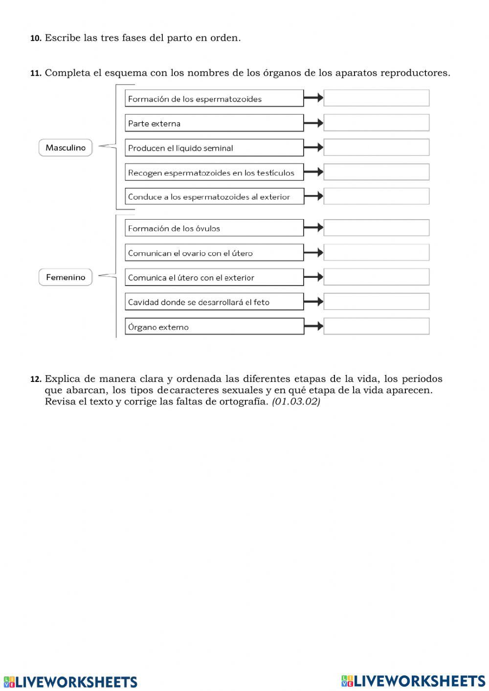 Recuperaciòn biologia 8ª
