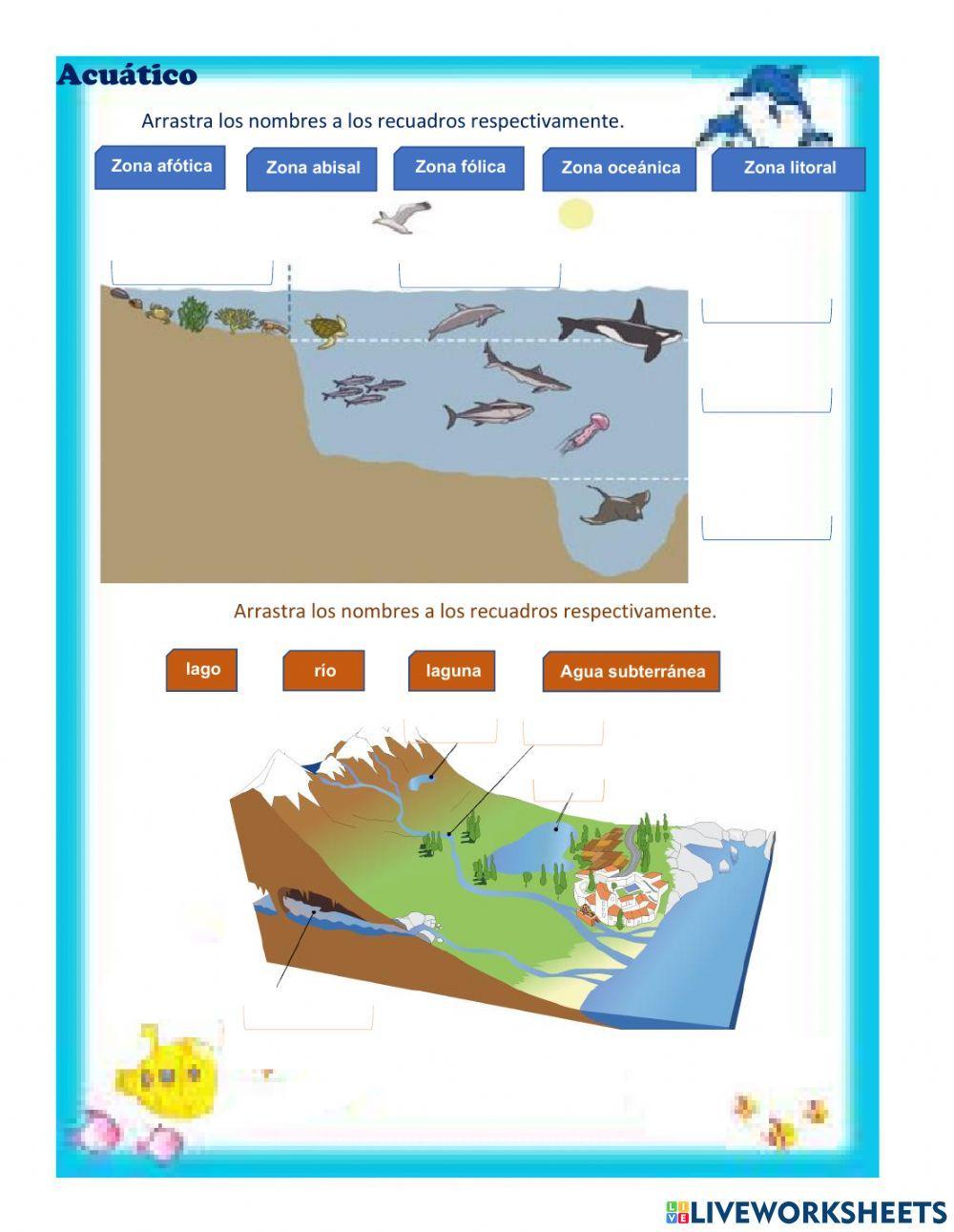 Ecosistemas | Free Interactive Worksheets | 1153650, image size:1000x1291