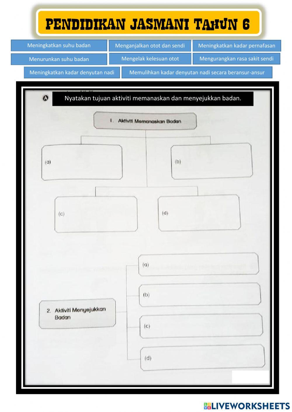 Pendidikan jasmani tahun 6