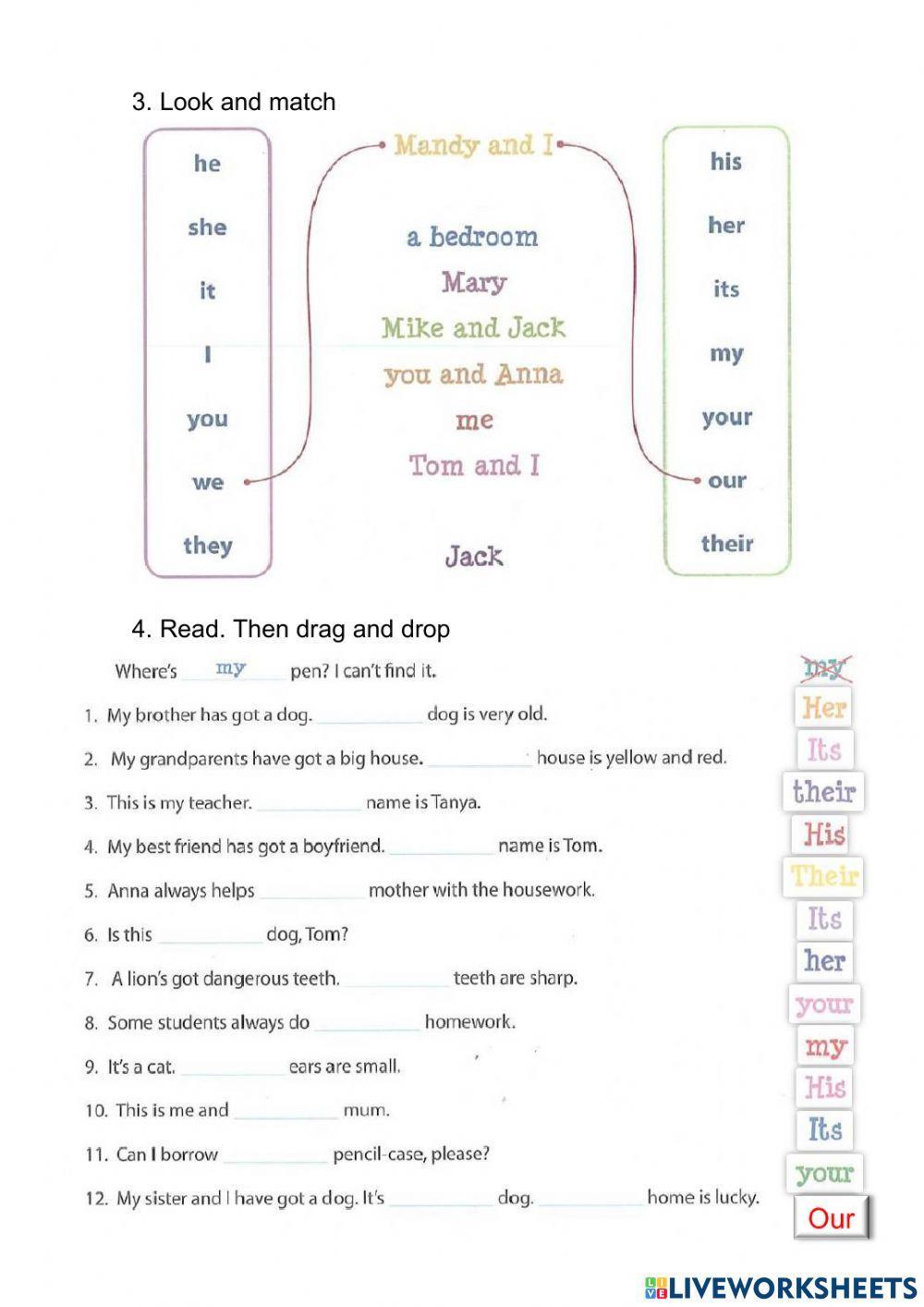 Possesive Adjectives
