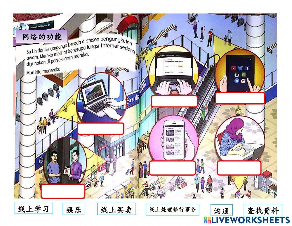 四年级网络的功能