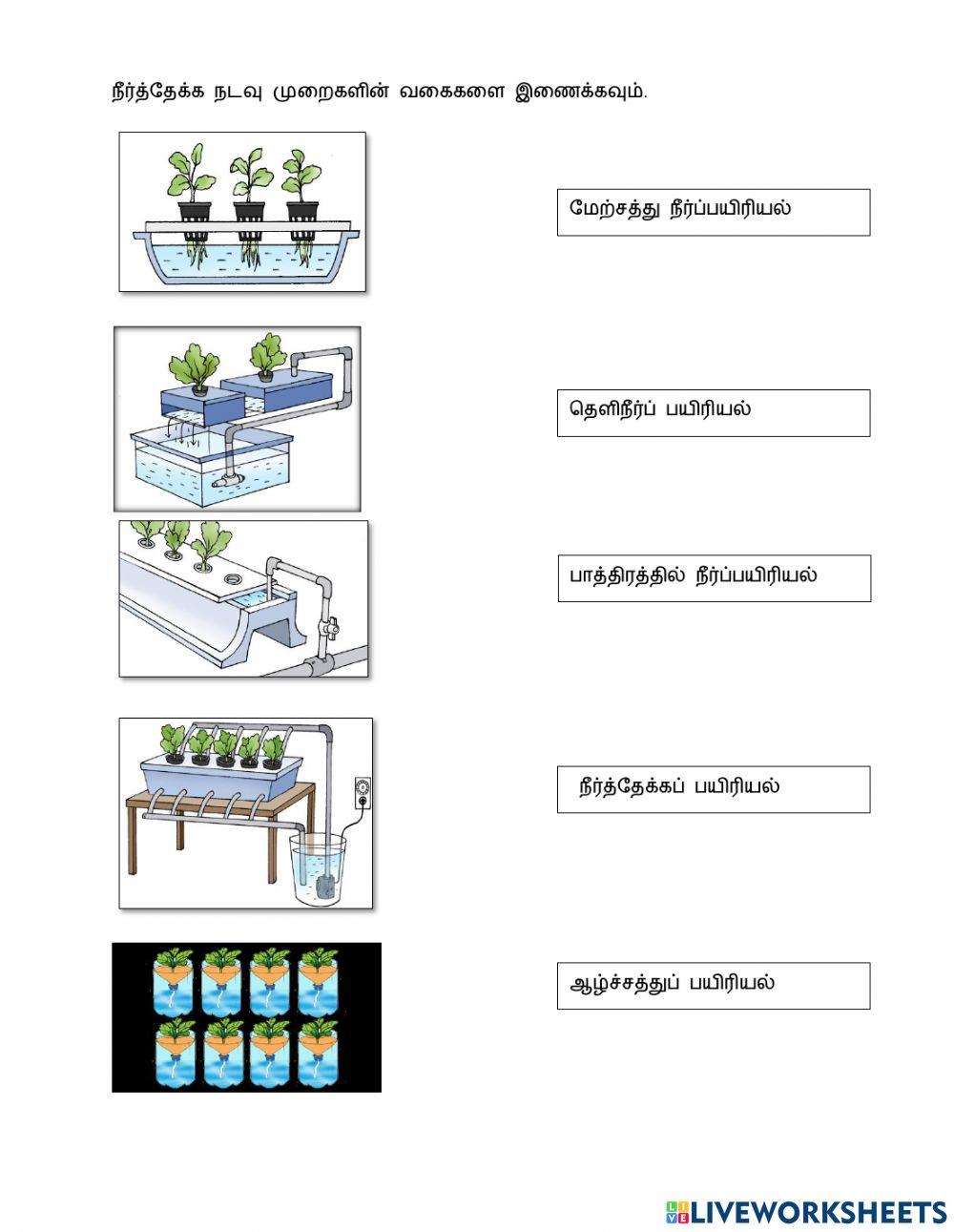 தகவல் தொழில் நுட்பம்