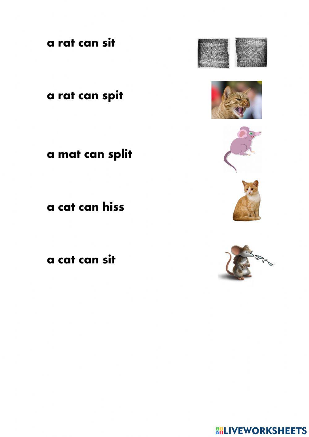 Match word chunks to pictures