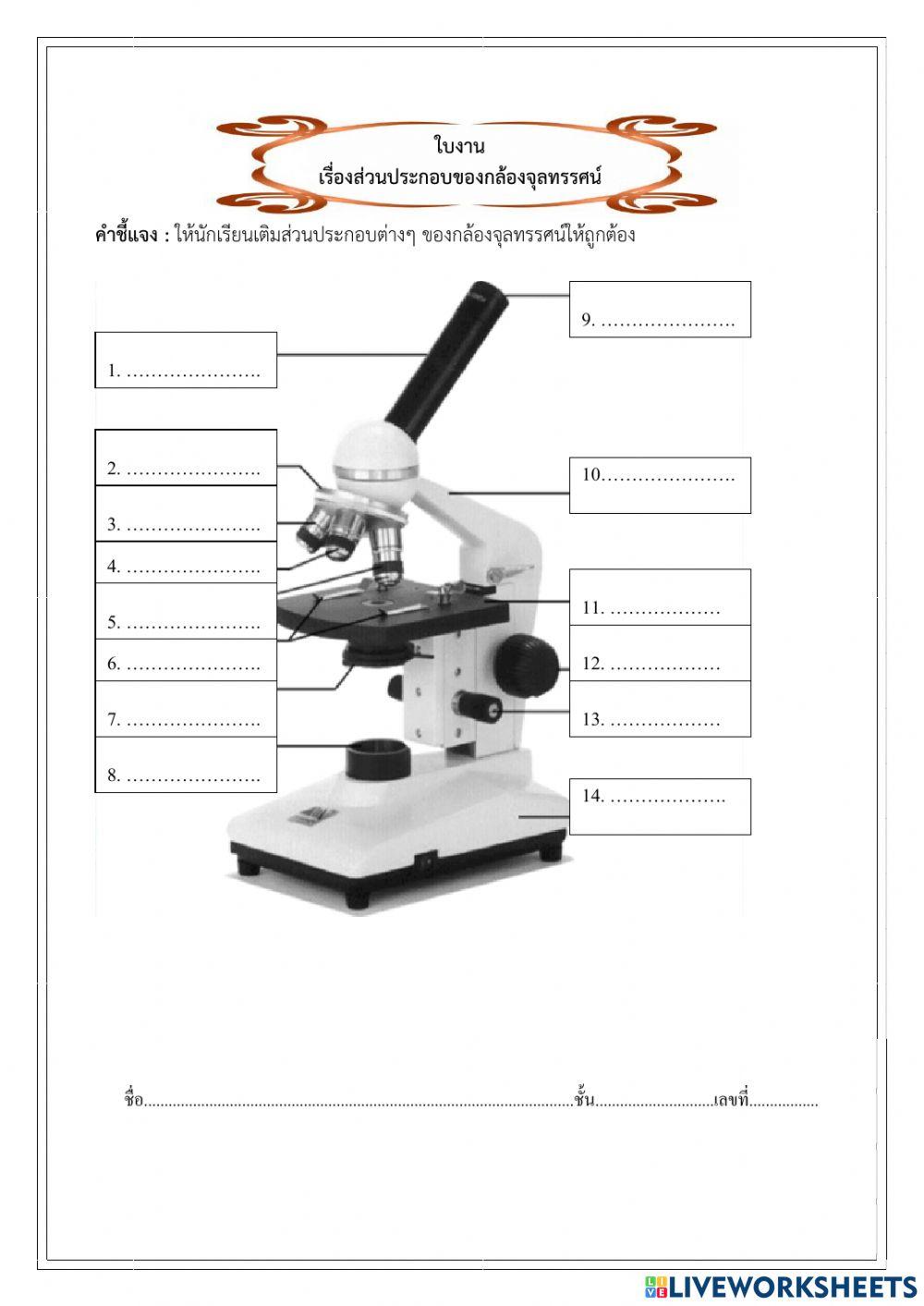 ส่วนประกอบกล้องจุลทรรศน์