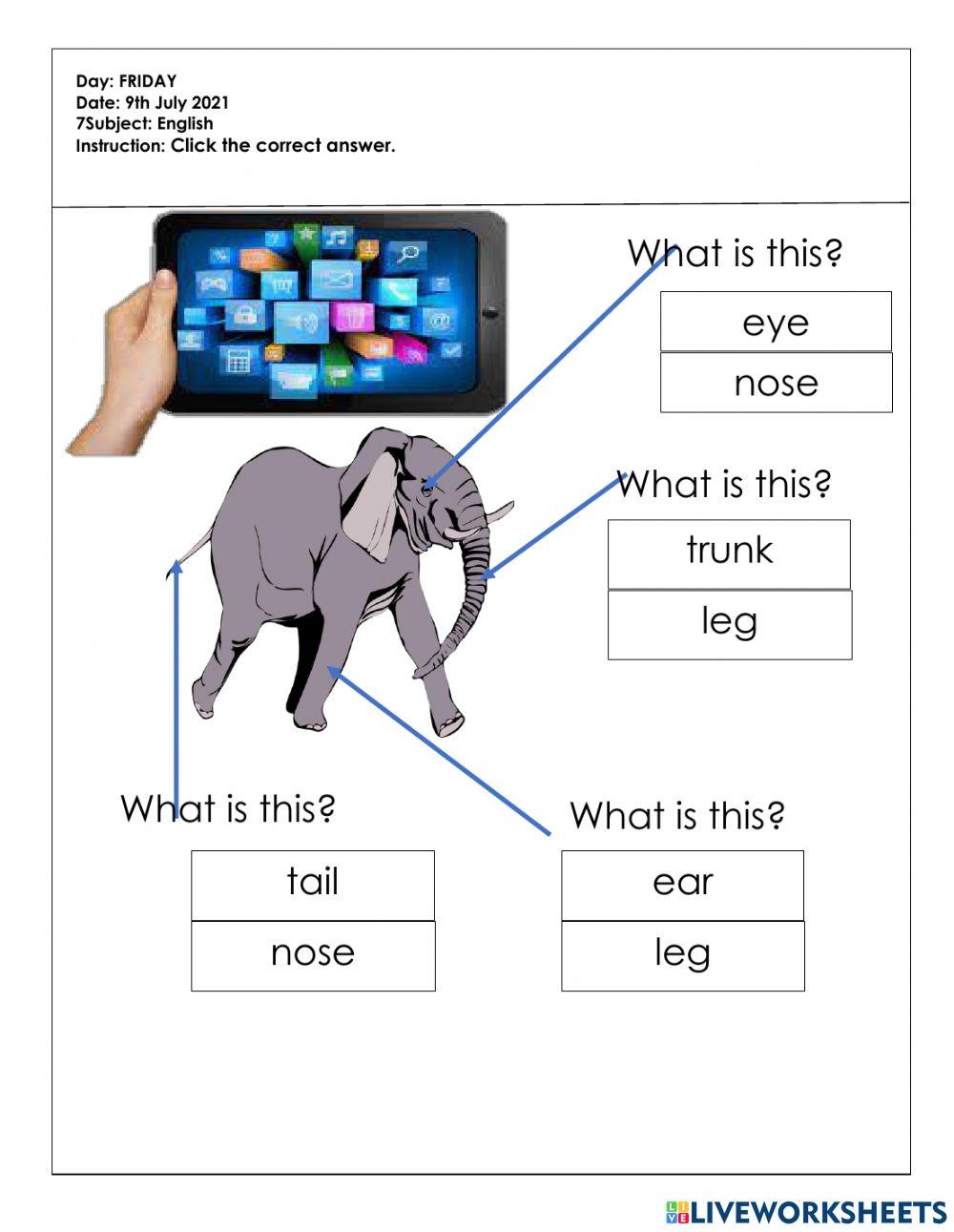 Tugasan Pendidikan Muzik 9.7.2021