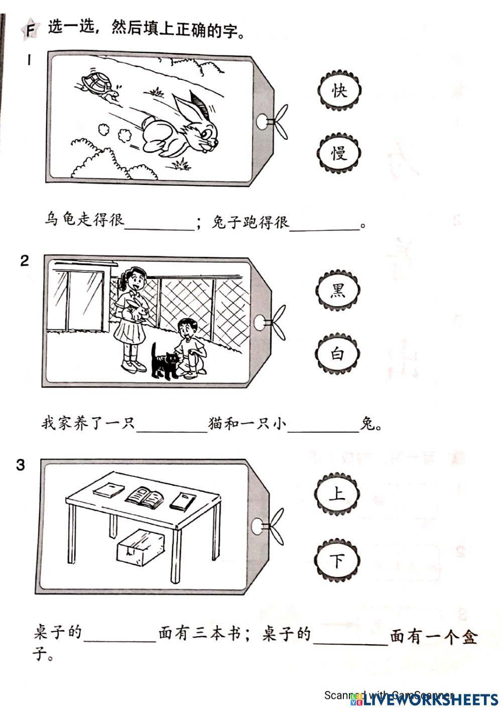 一年级：评审（一）