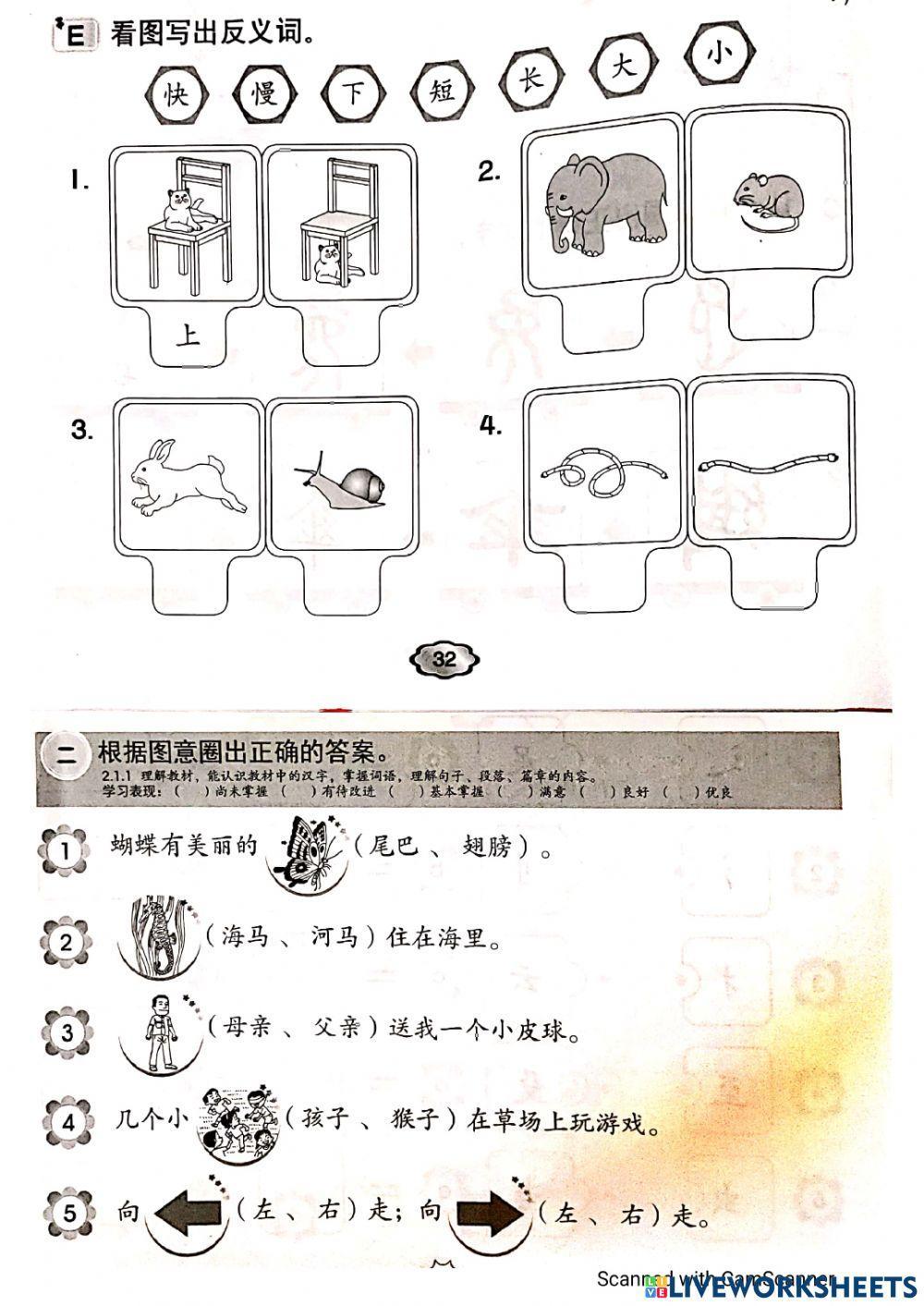 一年级：评审（一）