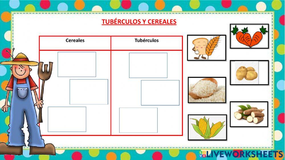 Los cereales y tubérculos