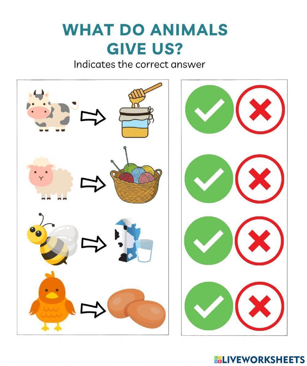 What do animals give us?