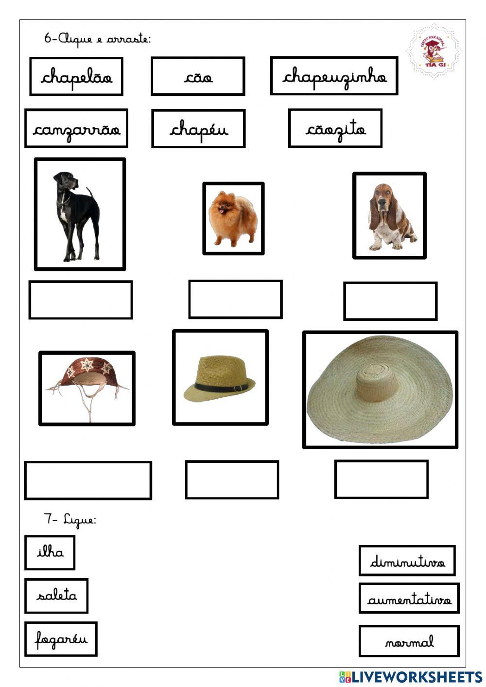 Aumentativo e Diminutivo