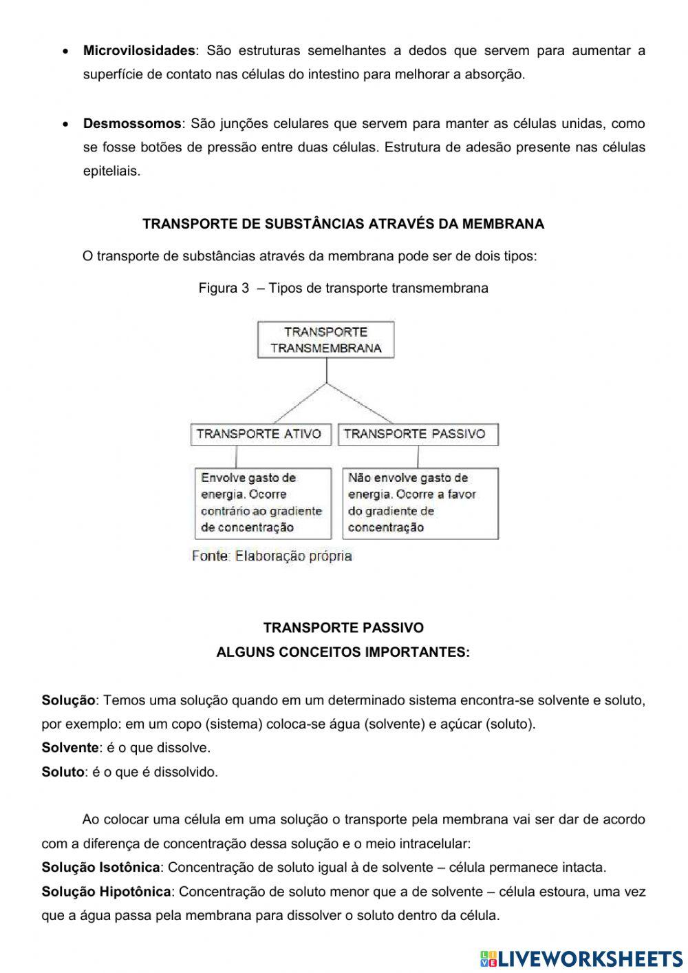 Membrana Plasmática
