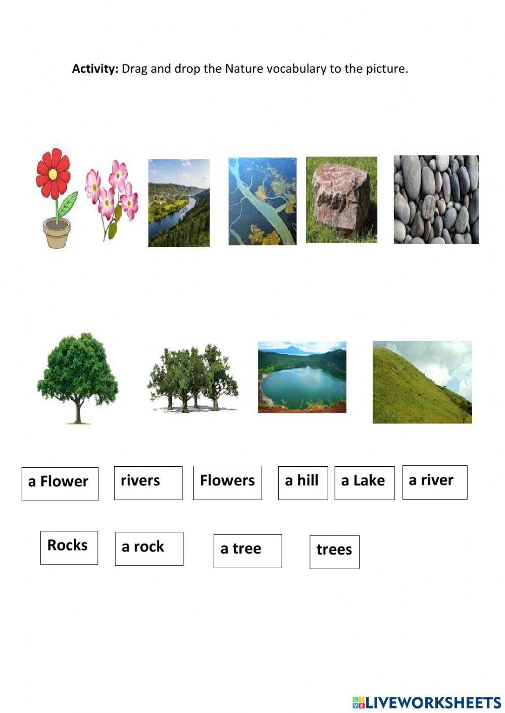 Nature online exercise for 1st grade | Live Worksheets