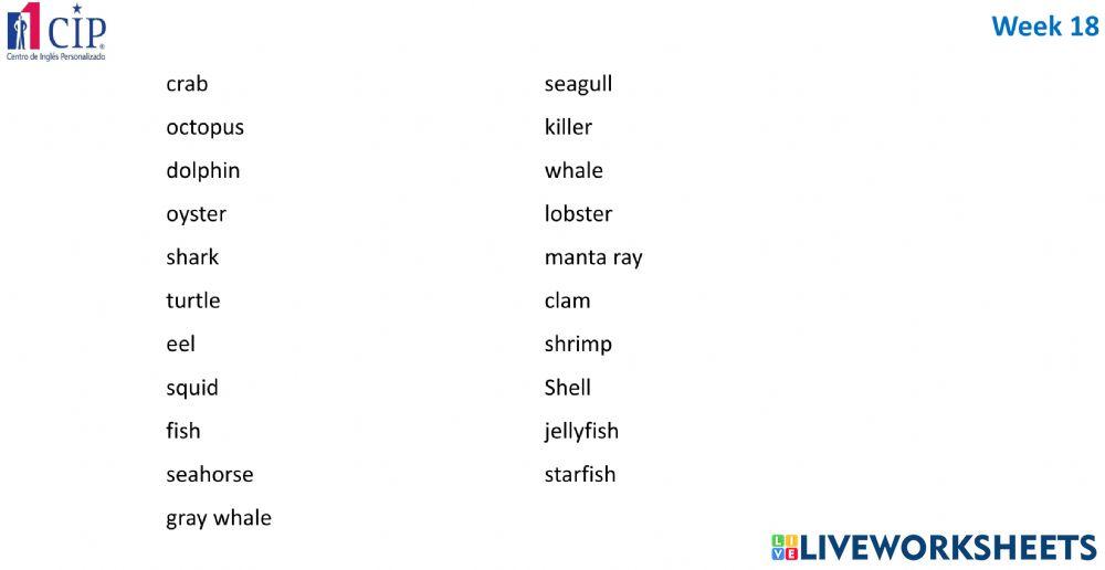 KIDS Sea Animals Week 18